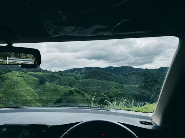 Płyn do spryskiwaczy letni – jak wybrać i dlaczego stężenie ma znaczenie?